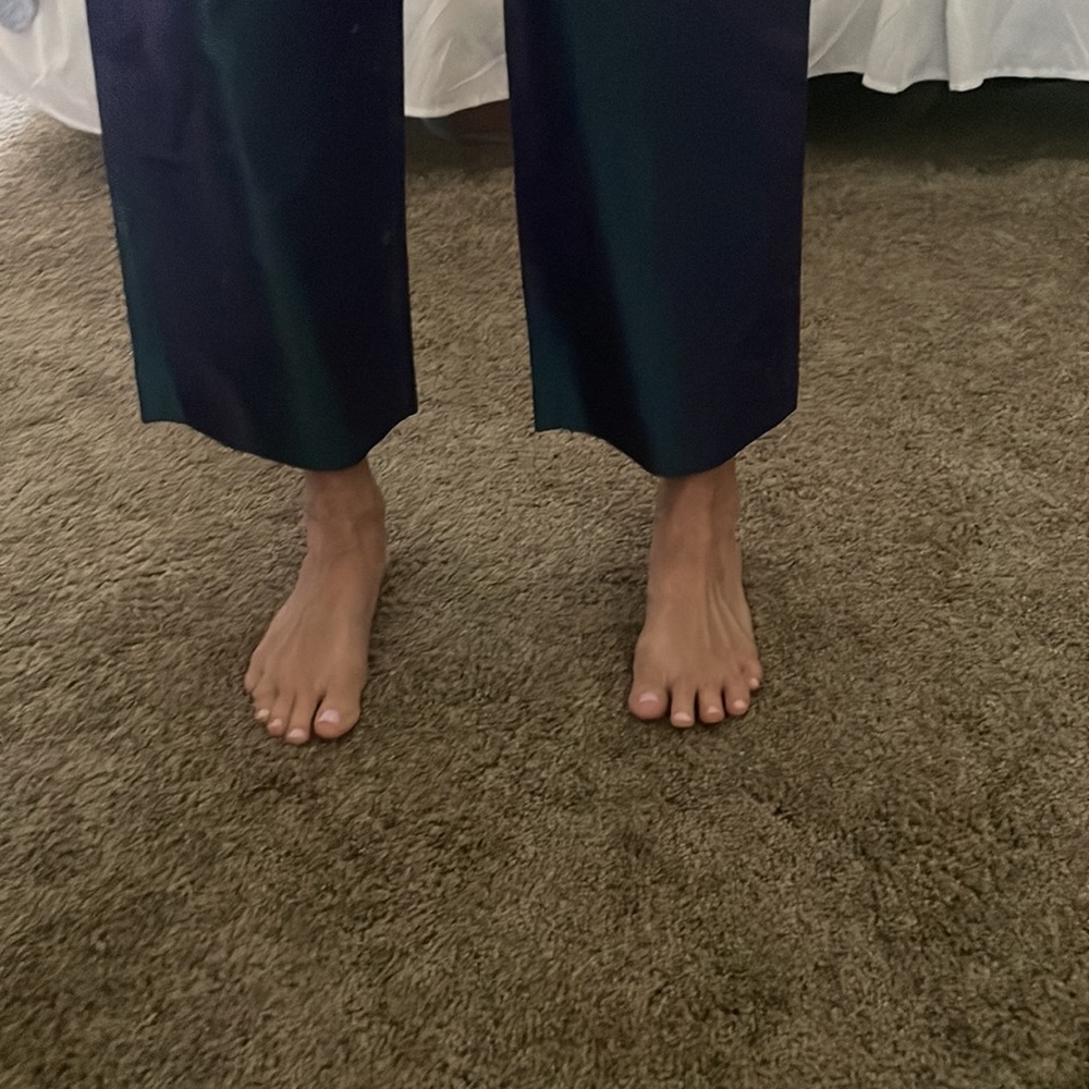 🎄Iridescent wide leg 100% silk pants. Size 4 🎁 - Picture 7 of 9